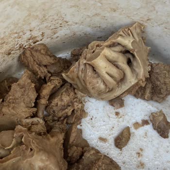 Rize Yaylahan Yöresel Toptan Ve Perakende Kavurma Skandalı!