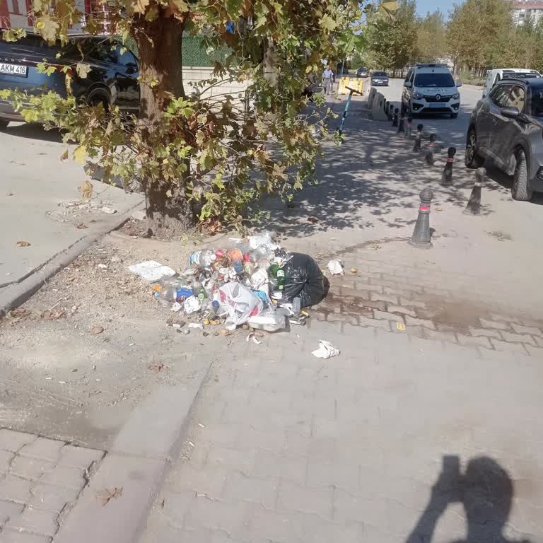 Çöp Konteyneri Sorunu Acil Çözüm Bekliyor