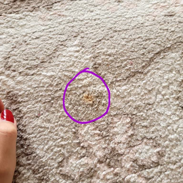 Halı Temizliğinde Hayal Kırıklığı