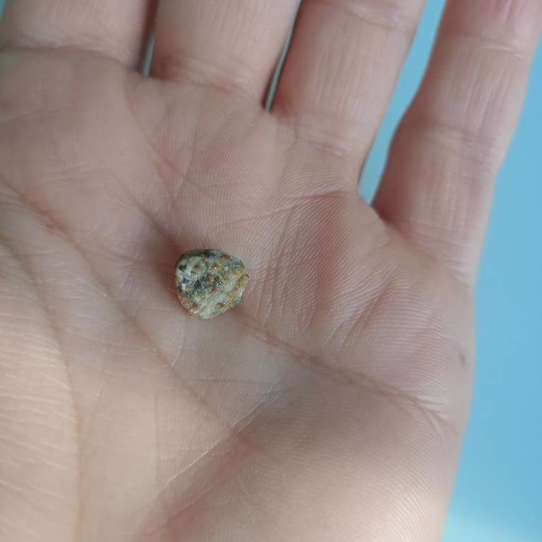 Kurabiyeden Çıkan Taş: Diş Kıran Tehlike