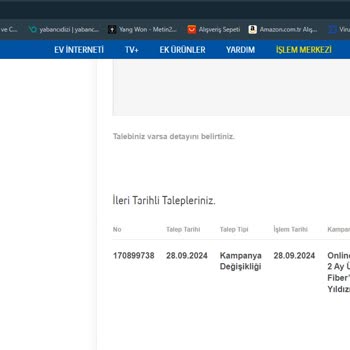 Online Kampanya Hüsranı