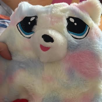 Toy Bear'den Gelen Hayal Kırıklığı