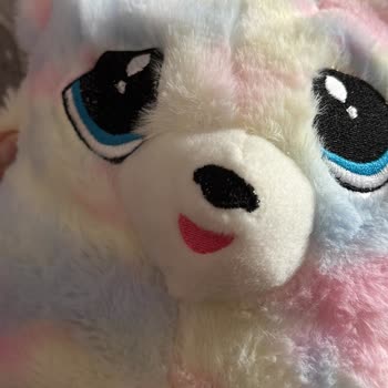 Toy Bear'den Gelen Hayal Kırıklığı