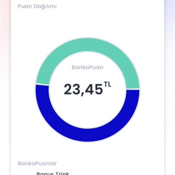 Chippin Uygulamasında Puan Kullanım Sorunu