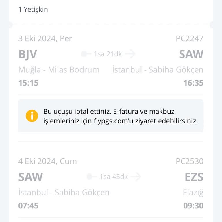 Pegasus ile Aktarma Kabusu: Mağduriyet ve Ekstra Masraf
