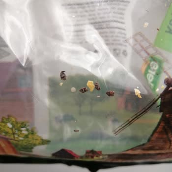 Deresallar Gıda Gökdere Bakliyat Nohut İçinden Böcekler Çıktı