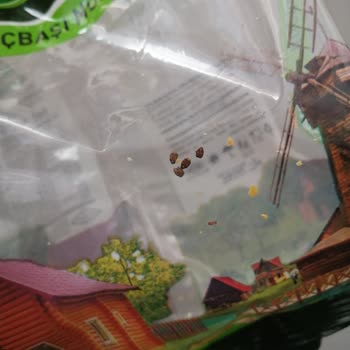 Deresallar Gıda Gökdere Bakliyat Nohut İçinden Böcekler Çıktı