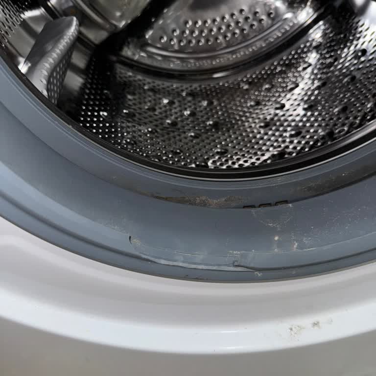 LG Çamaşır Makinesi Lastik Sorunu