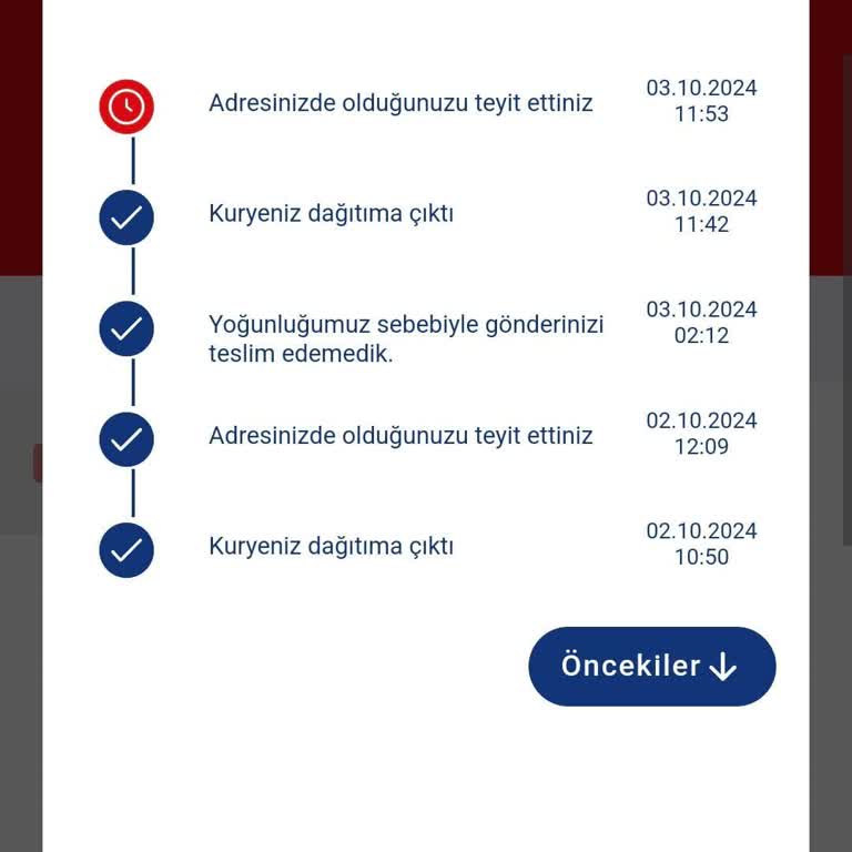 Aras Kargo Serinkuyu Şubesi: Teslimat Kabusu