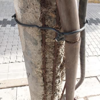 Tehlike Saçan Eski Elektrik Direği