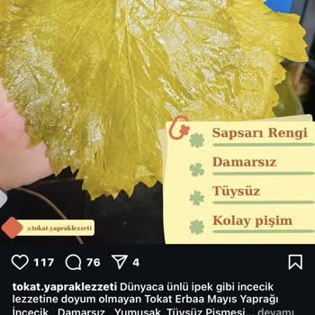 Tokat.yapraklezzeti Eski ve Çürümüş Yaprak Gönderiyor