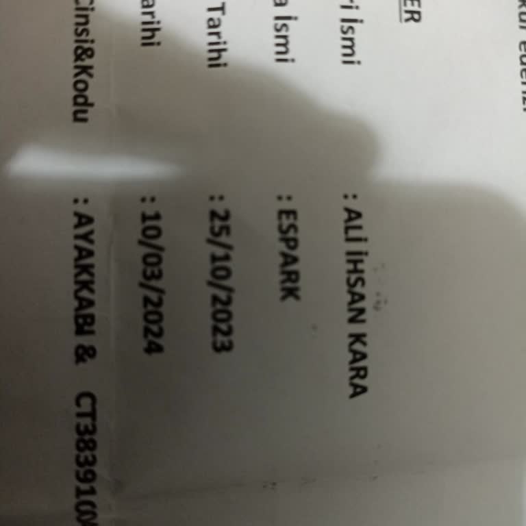 Espark Nike Mağazasında Ayakkabı Sorunu ve İade Süreci