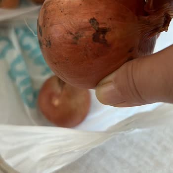 A101 Kapıda Uygulamasıyla Gelen Eksik ve Çürük Ürünler