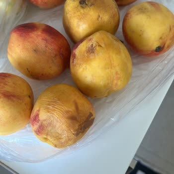 A101 Kapıda Uygulamasıyla Gelen Eksik ve Çürük Ürünler