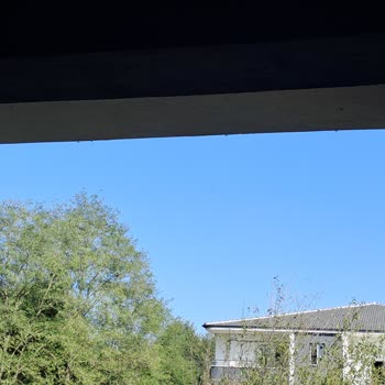 Darıca'da Yaşam Kalitesini Düşüren Sorunlar