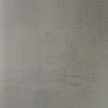 Ağar Halı Yıkama (Başakşehir) Halımızı Mahvetti!