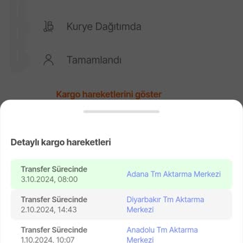 Teslimat Gecikmesi ve Kargo Sorunları