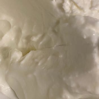 Tire Yoğurdun İçinden Çıkan Kıl Şoku!