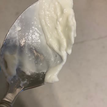 Tire Yoğurdun İçinden Çıkan Kıl Şoku!