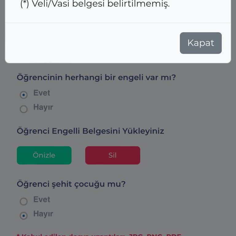 Başvuru Formu Hatası: Vasi Belgesi Engeli