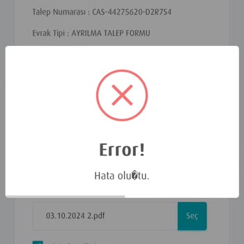 BES Ayrılma Sürecinde Karşılaşılan Teknik Sorunlar