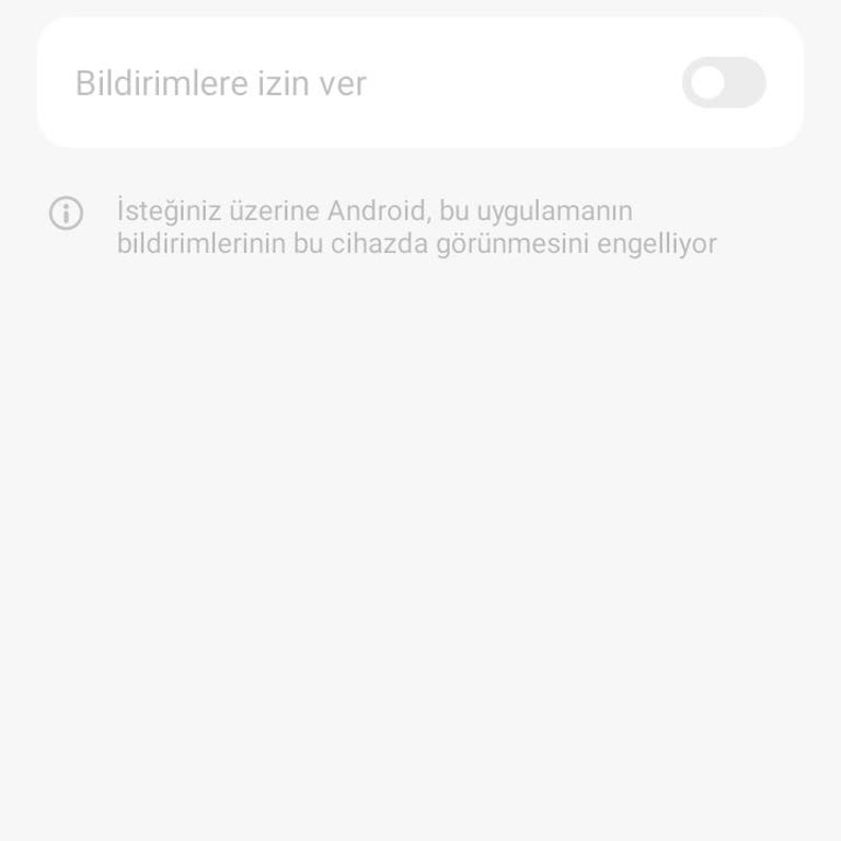Yeni Aldığım Cihazda Mikro Zeka Erişim Sorunu