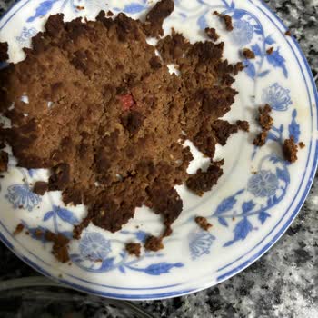 Nestle Purina PetCare Wet Cat Food Issue – Potential Health Risk for My Cat