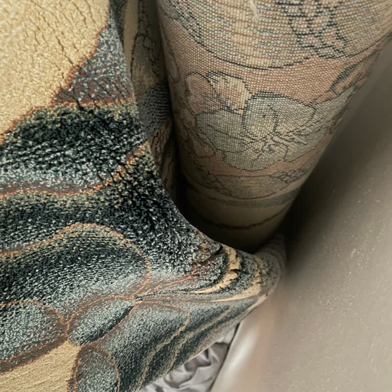 Halı Yıkama Kabusu: Gecikme ve Yanıltıcı Bilgilendirme