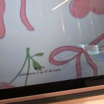 Samsung Galaxy TAB S6 Lite Tablet Şarj Problemi