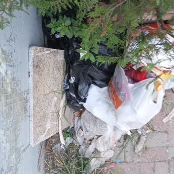 Belediyeden Çözüm Bekleyen Çöp ve Park Sorunu