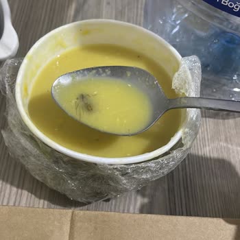 Çorbanın İçinden Çıkan Böcek Şoku