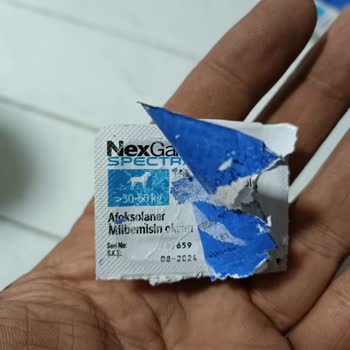 Boehringer Ingelheim İlaç Nexgard Spectra Şikayeti