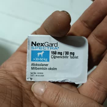 Boehringer Ingelheim İlaç Nexgard Spectra Şikayeti