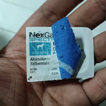 Boehringer Ingelheim İlaç Nexgard Spectra Şikayeti