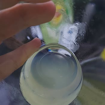Uludağ Limonatada Beklenmedik Yabancı Maddeler