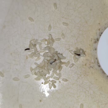 Güvendiğim Markanın Ürünü Hayal Kırıklığı Yarattı