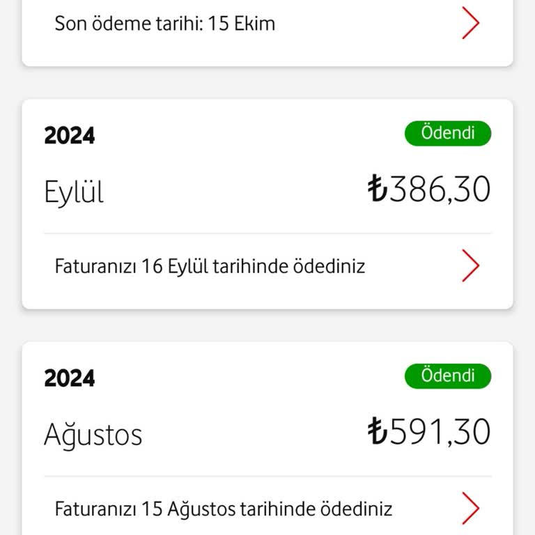 Yanlışlıkla Başlayan Oyun Aboneliği Fatura Kabusu Oldu