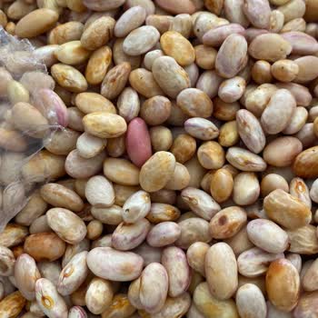 Bozulmuş Ürünler ve İlgisiz Müşteri Hizmetleri