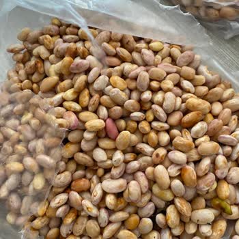 Bozulmuş Ürünler ve İlgisiz Müşteri Hizmetleri