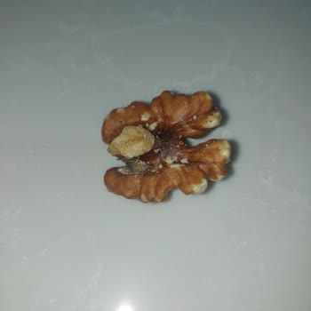 BİM'den Aldığım Ceviz İçinde Böcek ve Örümcek Ağı Şoku