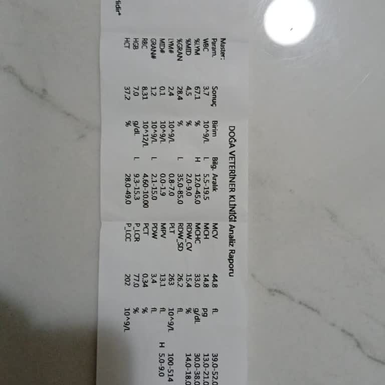 Yanlış Teşhis ve Tedavi Sonucu Kedimizin Kaybı