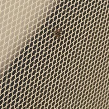 Otel Odasında Böcek Şoku