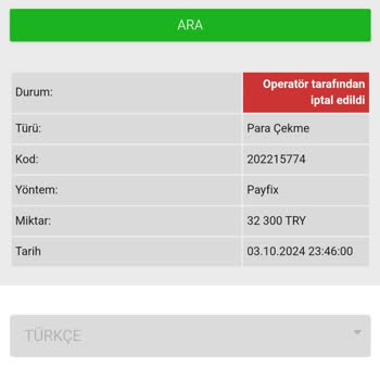 Spinco Türkiye'de Kupon Sorunu ve Düşen Bakiye