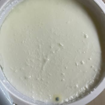 Küflü Yoğurt Şoku!