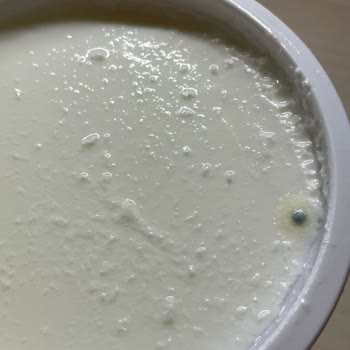 Küflü Yoğurt Şoku!