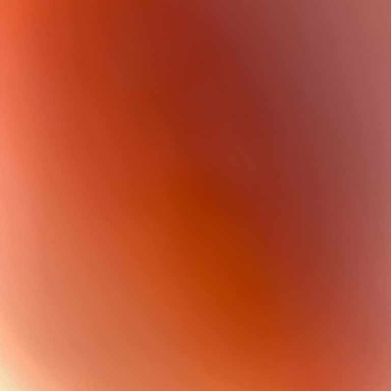 Renault Clio'da Türkçe Dil Desteği ve Star Stop Sorunu