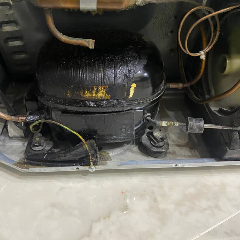 Garanti Kapsamında Fatura Engeli: LG Buzdolabı Mağduriyeti