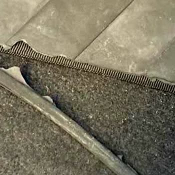 Renault Taliant Paspas Kalitesi ve Müşteri Hizmetleri Sorunu