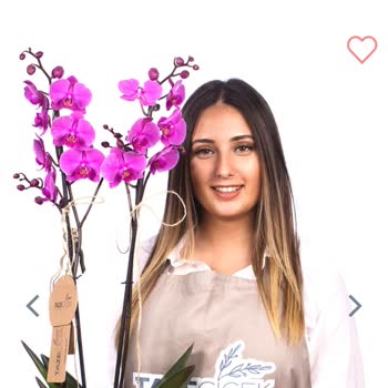 Yanıltıcı Hizmet ve Onaysız Sipariş Gönderimi