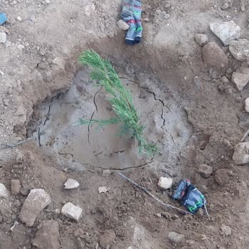 Gülşah Botanik (İzmir) Yanıltıcı Ürün Bilgisi Ve İlgisiz Müşteri Hizmeti